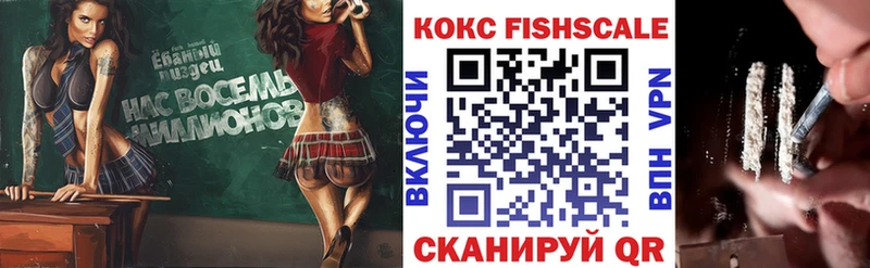 купить наркоту  Зея  COCAIN FishScale 
