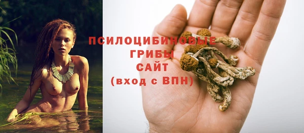 крисы Балабаново