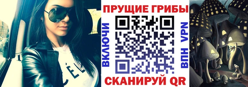 Псилоцибиновые грибы Psilocybine cubensis  хочу наркоту  Зея 